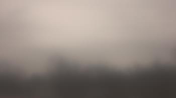 Weather camera view of Lincoln Elementary School.