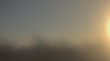 Weather camera view of Lincoln Elementary School.