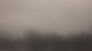 Weather camera view of Lincoln Elementary School.