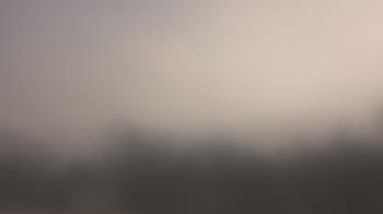 Weather camera view of Lincoln Elementary School.