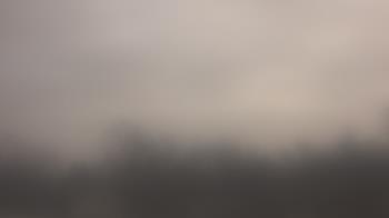 Weather camera view of Lincoln Elementary School.