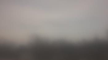 Weather camera view of Lincoln Elementary School.