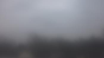 Weather camera view of Lincoln Elementary School.