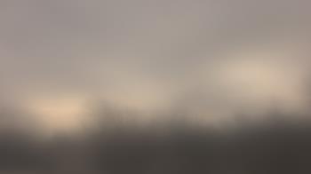 Weather camera view of Lincoln Elementary School.