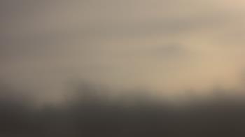 Weather camera view of Lincoln Elementary School.