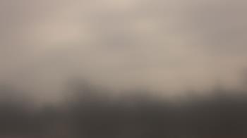 Weather camera view of Lincoln Elementary School.