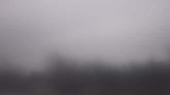 Weather camera view of Lincoln Elementary School.