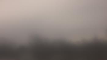 Weather camera view of Lincoln Elementary School.