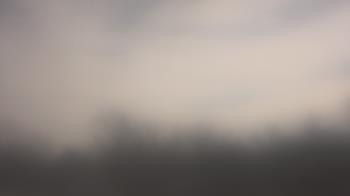 Weather camera view of Lincoln Elementary School.