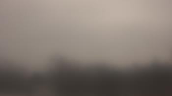 Weather camera view of Lincoln Elementary School.