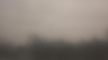 Weather camera view of Lincoln Elementary School.