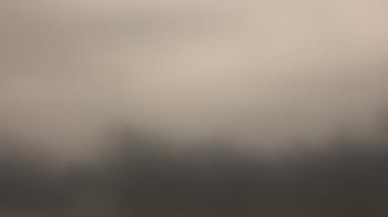 Weather camera view of Lincoln Elementary School.