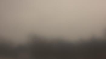 Weather camera view of Lincoln Elementary School.