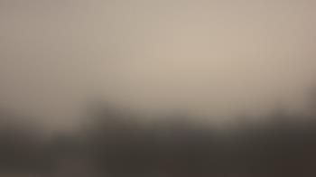 Weather camera view of Lincoln Elementary School.