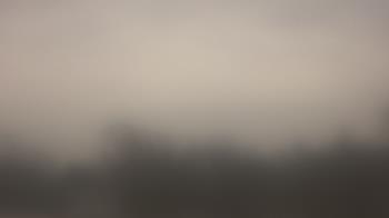 Weather camera view of Lincoln Elementary School.