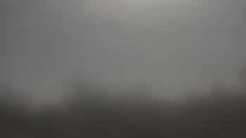 Weather camera view of Lincoln Elementary School.