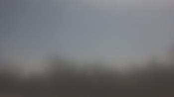 Weather camera view of Lincoln Elementary School.