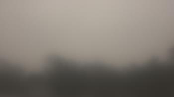 Weather camera view of Lincoln Elementary School.