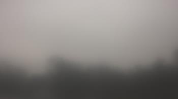 Weather camera view of Lincoln Elementary School.