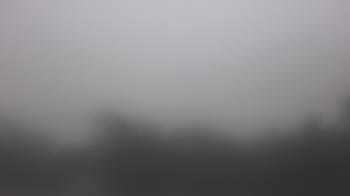 Weather camera view of Lincoln Elementary School.