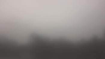 Weather camera view of Lincoln Elementary School.