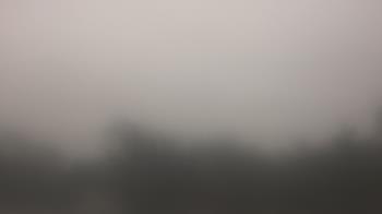 Weather camera view of Lincoln Elementary School.