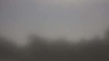 Weather camera view of Lincoln Elementary School.