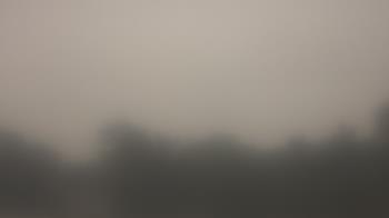 Weather camera view of Lincoln Elementary School.