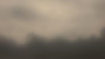 Weather camera view of Lincoln Elementary School.