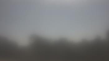 Weather camera view of Lincoln Elementary School.