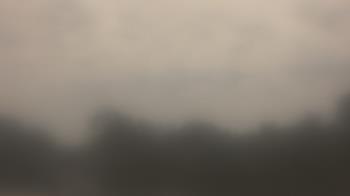 Weather camera view of Lincoln Elementary School.