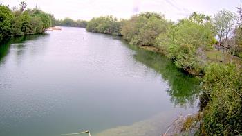 Weather camera view of Zoo Miami.