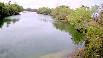 Weather camera view of Zoo Miami.