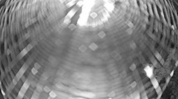 Weather camera view of Zoo Miami.