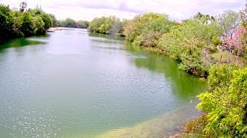 Weather camera view of Zoo Miami.