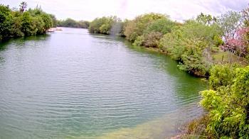 Weather camera view of Zoo Miami.