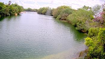 Weather camera view of Zoo Miami.