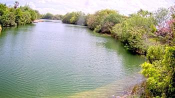 Weather camera view of Zoo Miami.