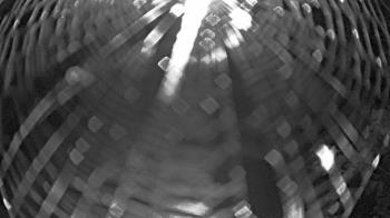 Weather camera view of Zoo Miami.