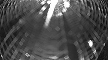 Weather camera view of Zoo Miami.