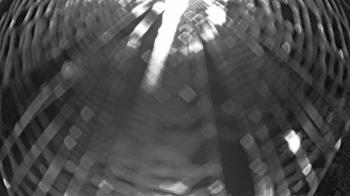 Weather camera view of Zoo Miami.