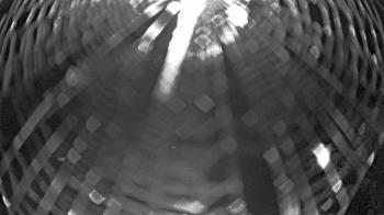 Weather camera view of Zoo Miami.