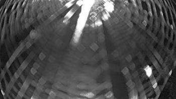 Weather camera view of Zoo Miami.