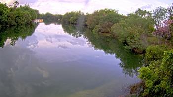 Weather camera view of Zoo Miami.