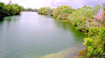 Weather camera view of Zoo Miami.