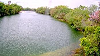 Weather camera view of Zoo Miami.