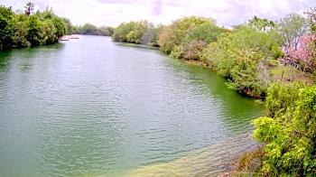 Weather camera view of Zoo Miami.