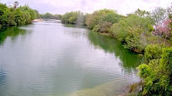 Weather camera view of Zoo Miami.