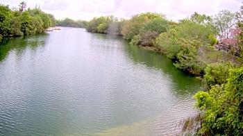 Weather camera view of Zoo Miami.