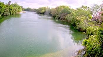 Weather camera view of Zoo Miami.